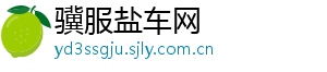 骥服盐车网